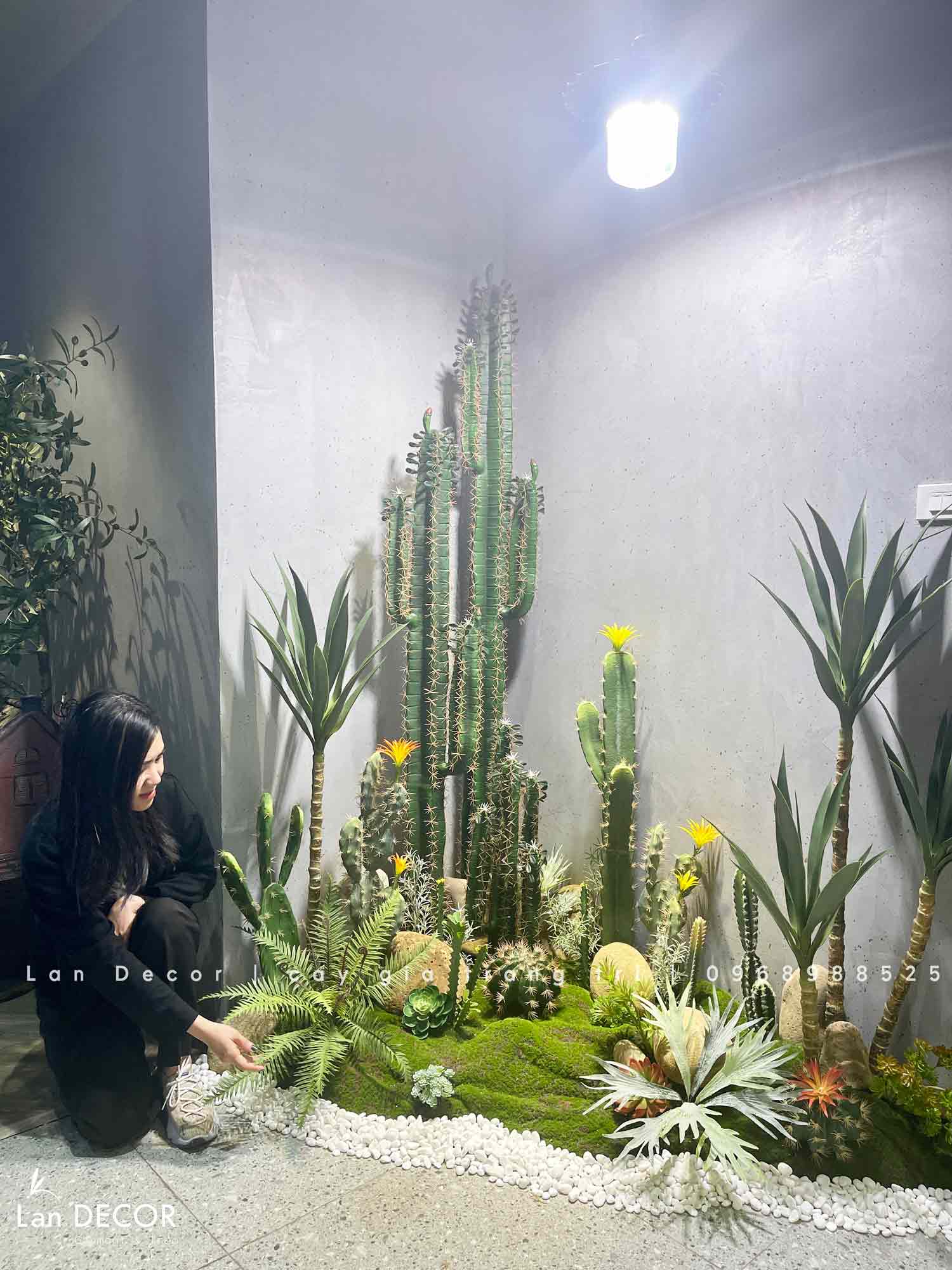 CONCEPT BỒN RÊU XƯƠNG RỒNG TRANG TRÍ TIỂU CẢNH MẪU MỚI LAN DECOR