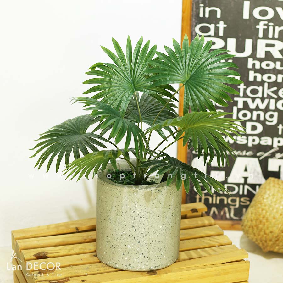 Cây cọ trang trí phong cách nhiệt đới hiện đại Lan Decor (48cm) - LC3198