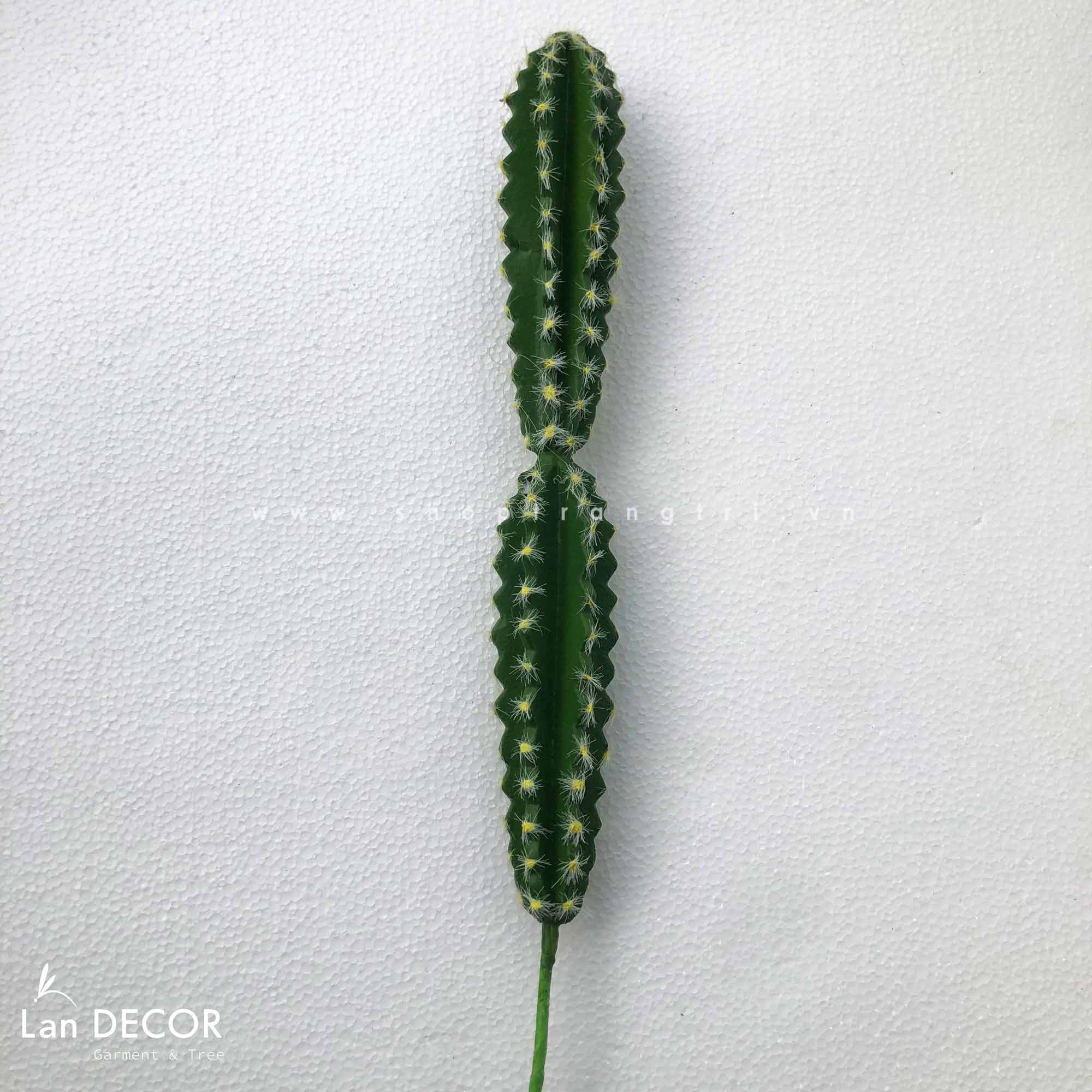 Xương Rồng Giả- Xương Rồng Trụ Decor Tiểu Cảnh ( 40cm) - HC167