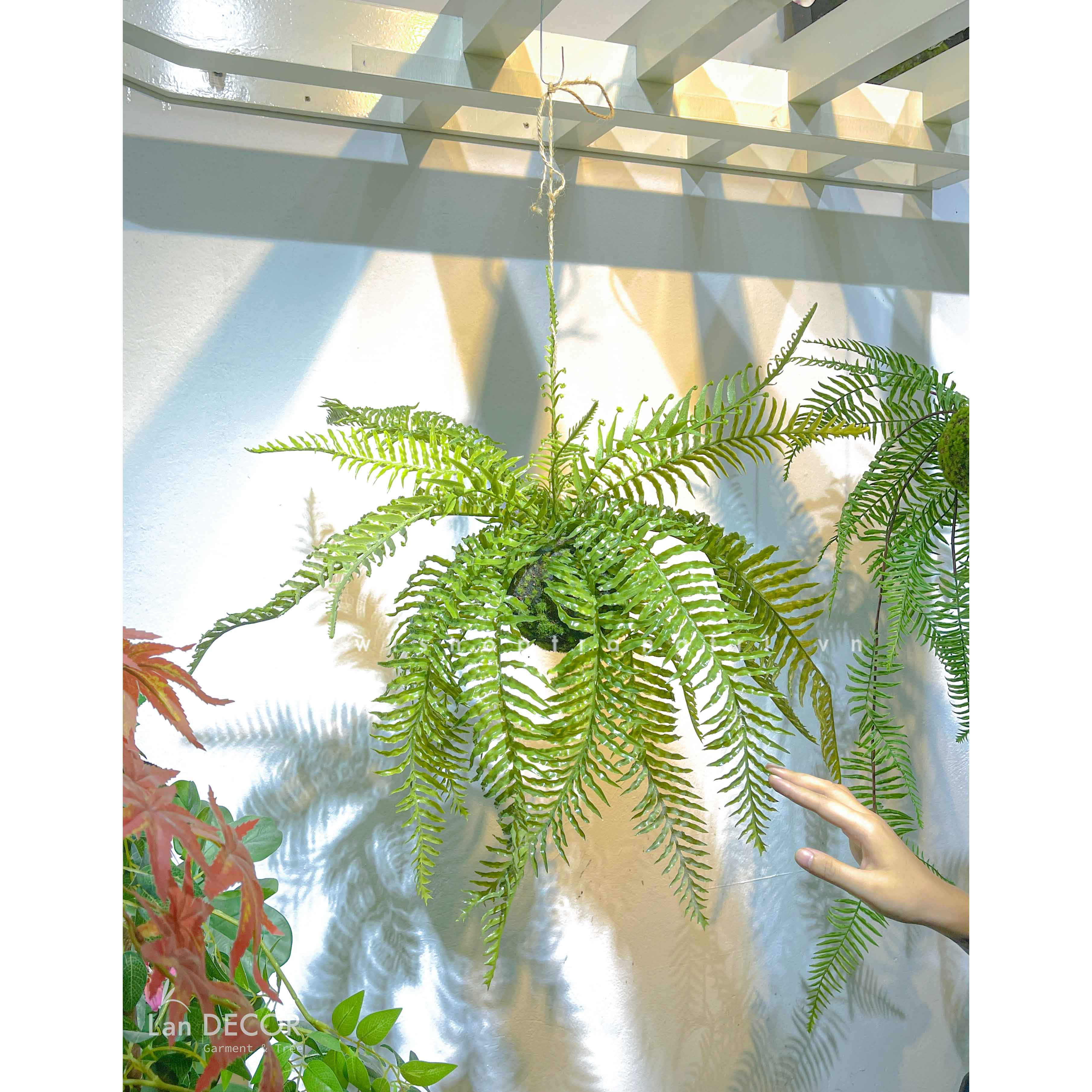 Quả cầu rêu dương xỉ  lá nhọn treo trang trí decor nội thất, quán cà phê,cửa tiệm Lan Decor - CC617