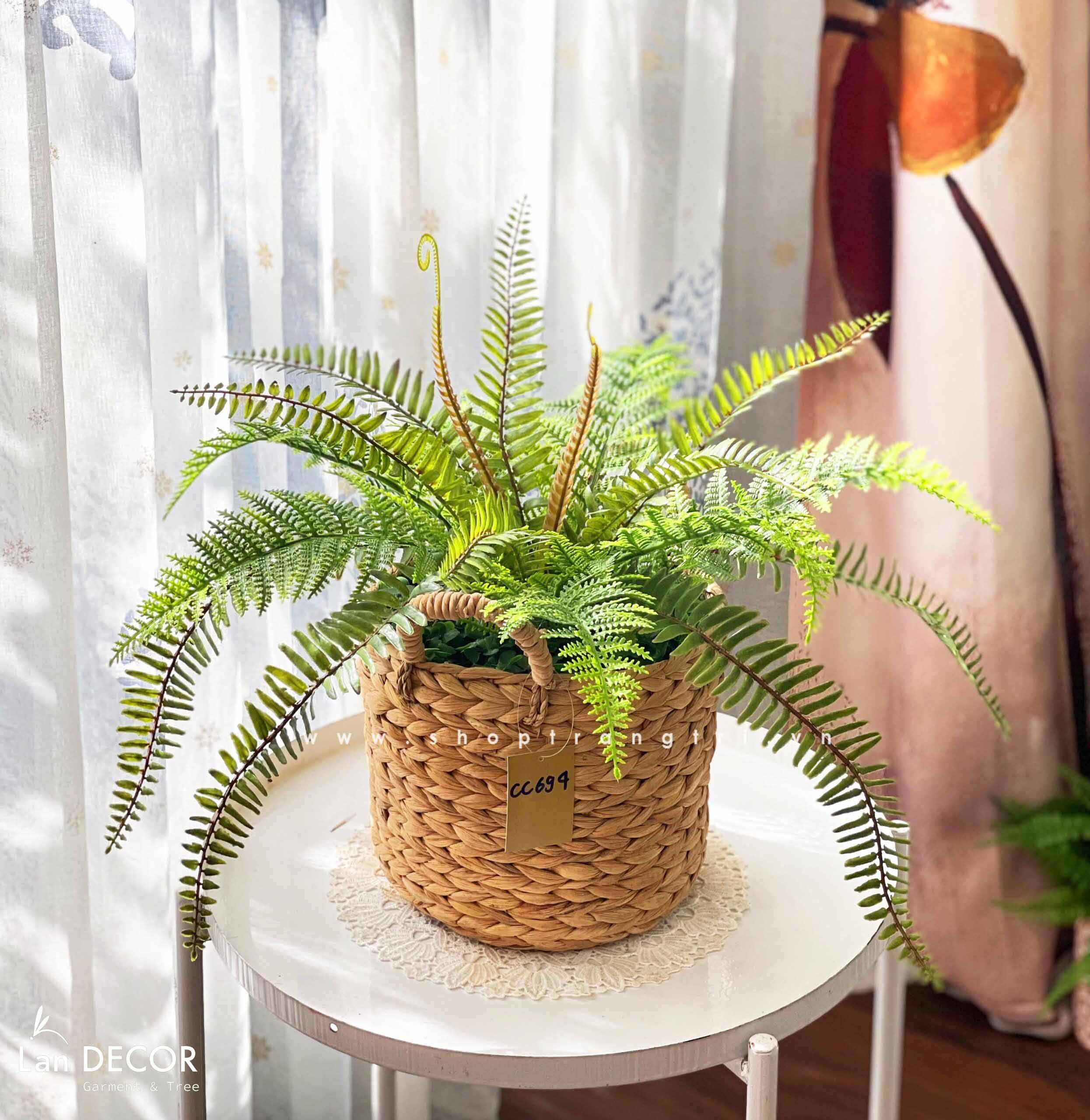 GIỎ DƯƠNG XỈ VẠN TUẾ ĐỂ BÀN PHONG CÁCH ĐỘC ĐÁO- CC699