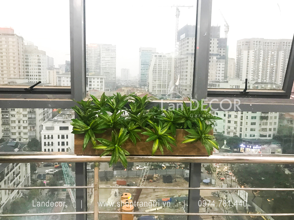 THIẾT KẾ HỘP CÂY GIẢ TRÊN PHỐ NGỤY NHƯ KON TUM - BC010