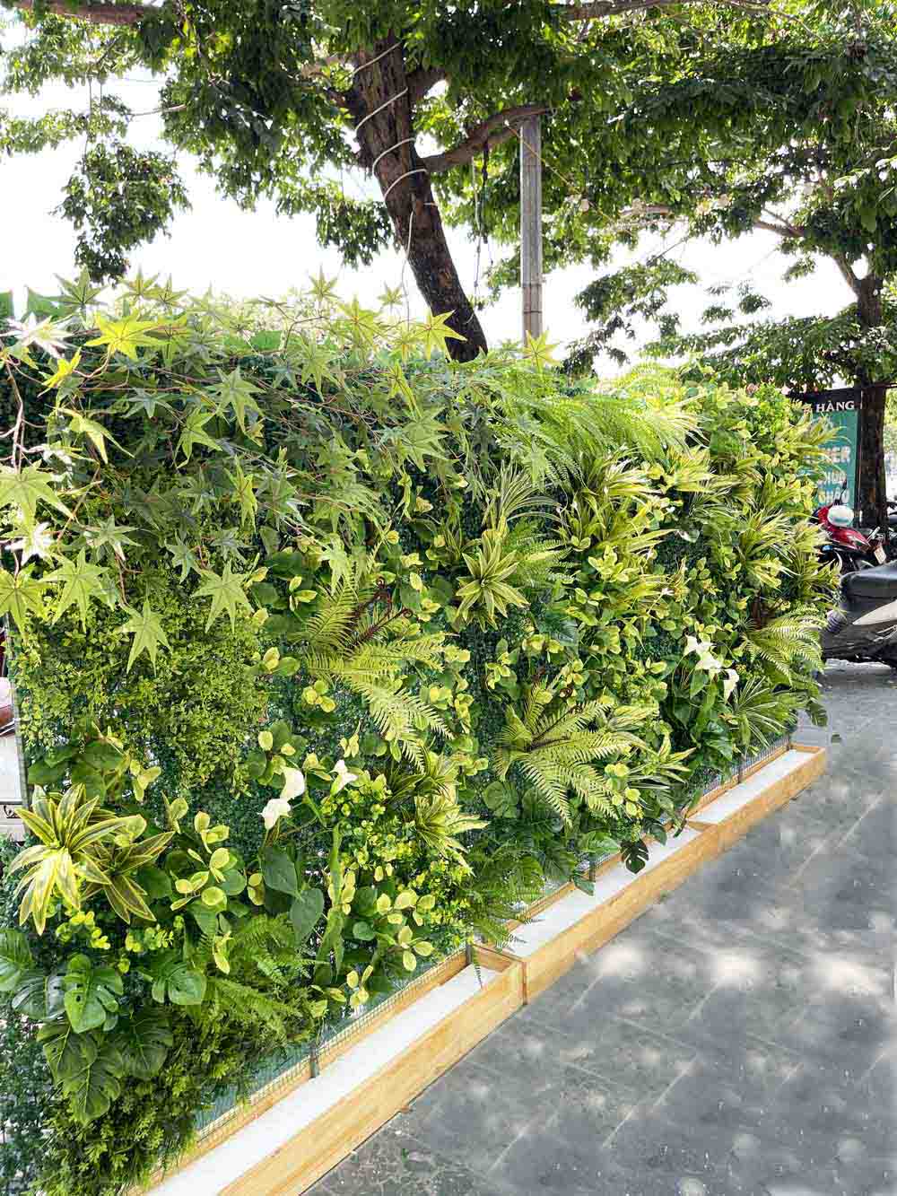 CÔNG TRÌNH VÁCH NGĂN CÂY TÒA T&T NGÔ QUYỀN- TC306