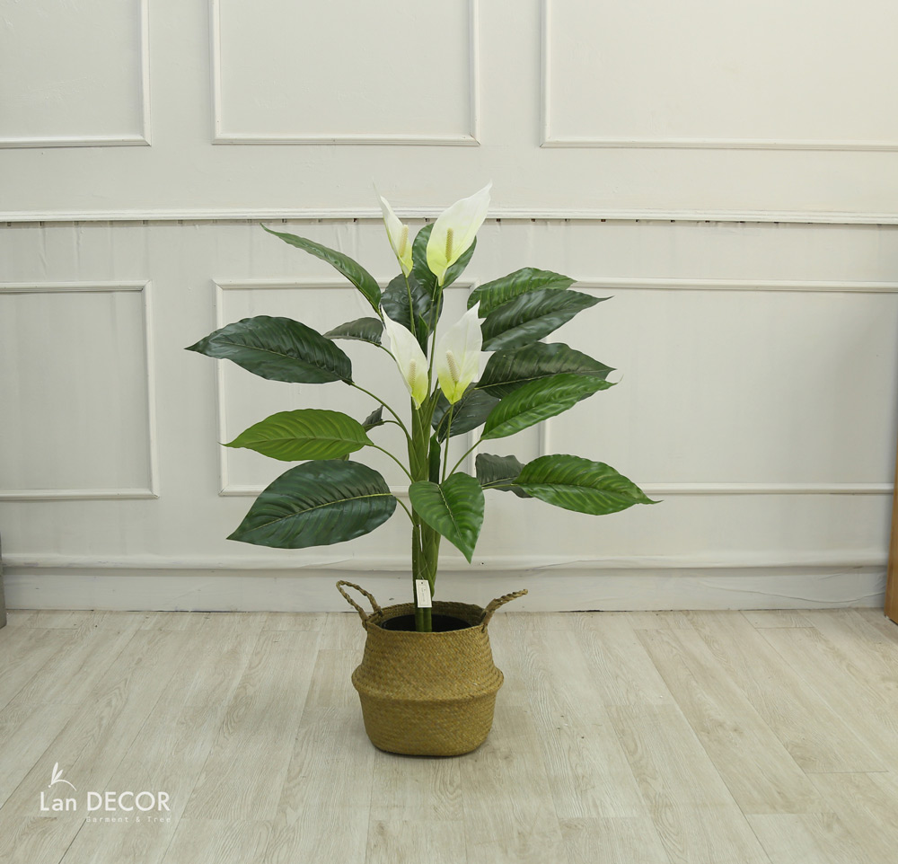 Cây Lan Ý trắng trang trí nhà sang trọng (90cm) - LC2931