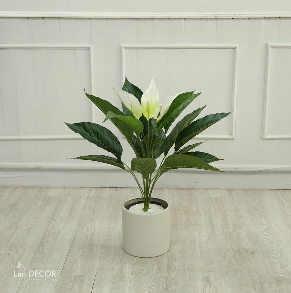 CÂY LAN Ý TRANG TRÍ KHÔNG GIAN HIỆN ĐẠI SANG TRỌNG (70cm) - LC2926
