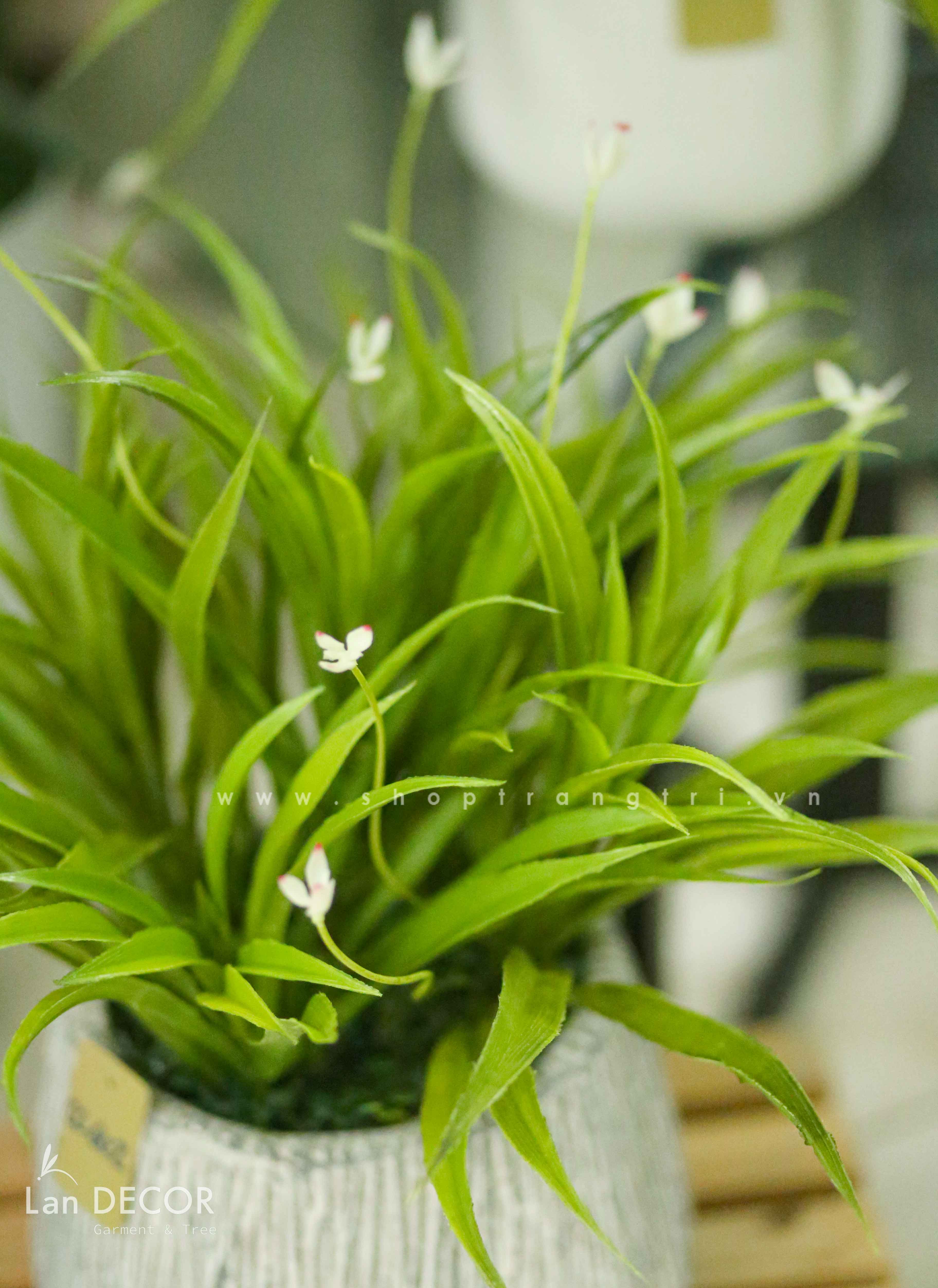 Chậu lan trắng để bàn LanDecor  (50cm ) - CC602