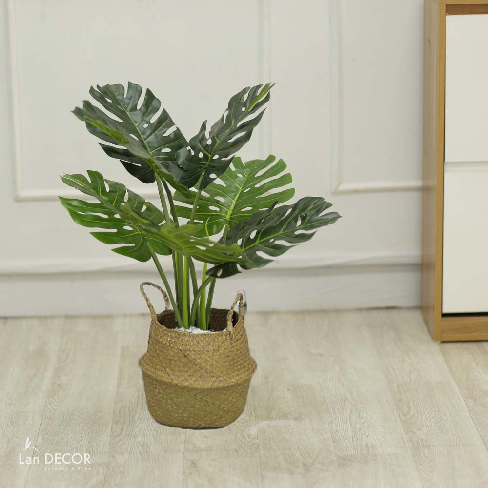 Cây lá xẻ  hiện đại trang trí nhà (65cm) - LC3022