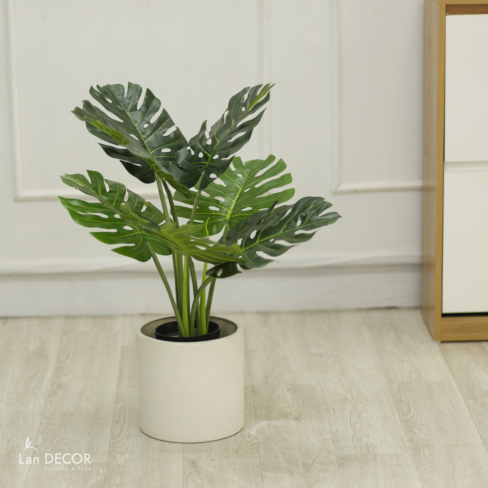 Cây lá xẻ  hiện đại trang trí nhà (65cm) - LC3022