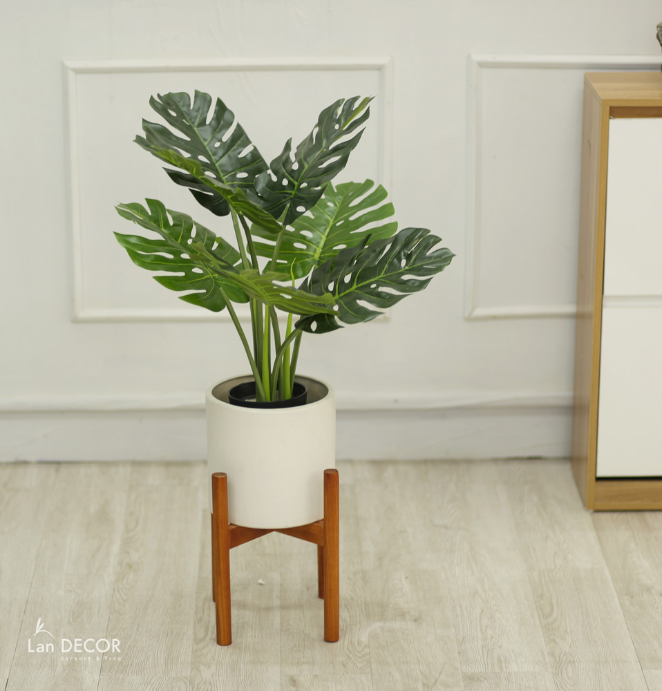 Cây lá xẻ  hiện đại trang trí nhà (65cm) - LC3022