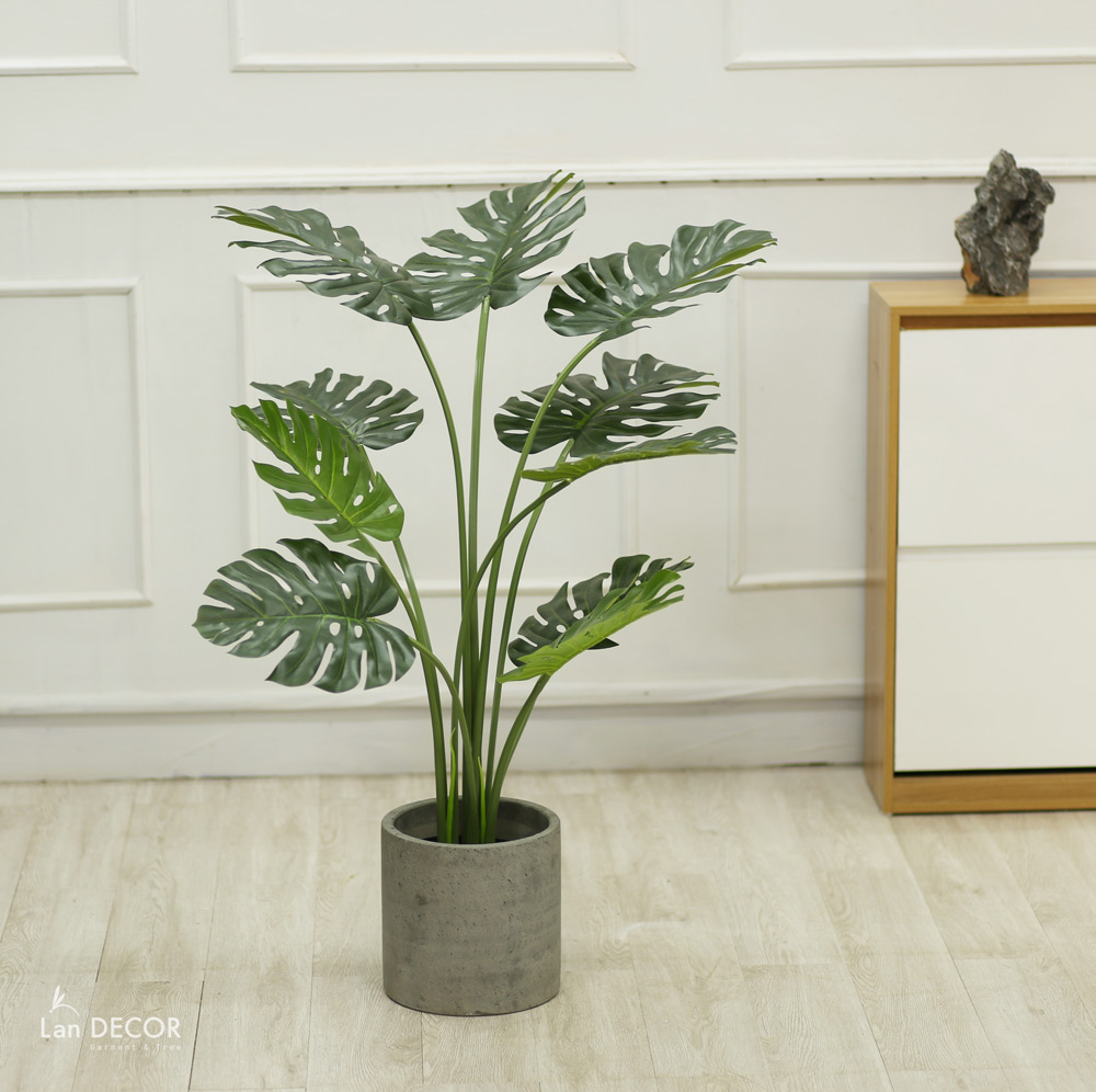 Cây lá xẻ cây monstera trang trí không gian hiện đại (120cm) - LC3024