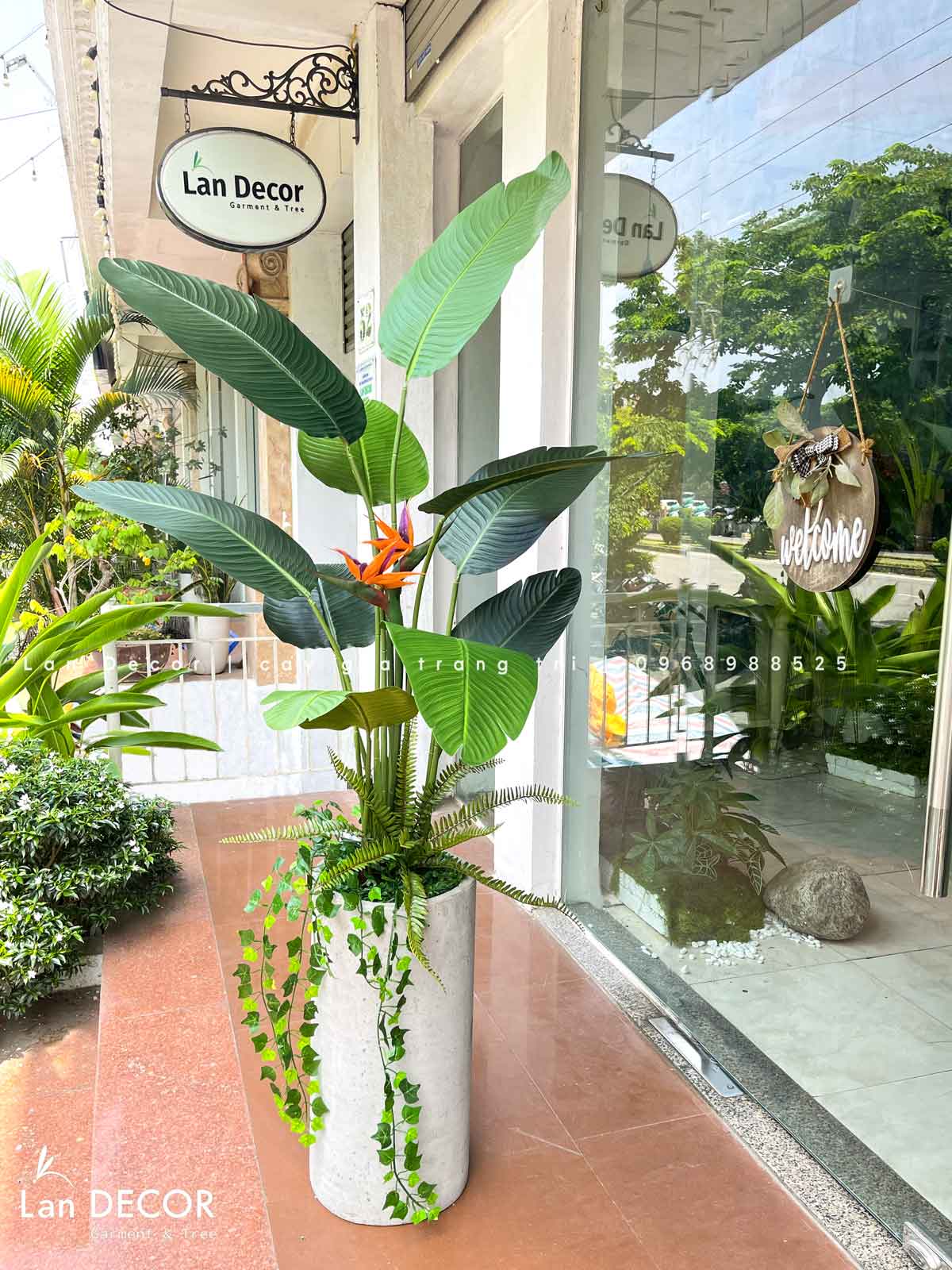 CHẬU CÂY CHUỐI RẺ QUẠT MIX CÀNH RỦ ĐỘC ĐÁO (180cm)- CC879