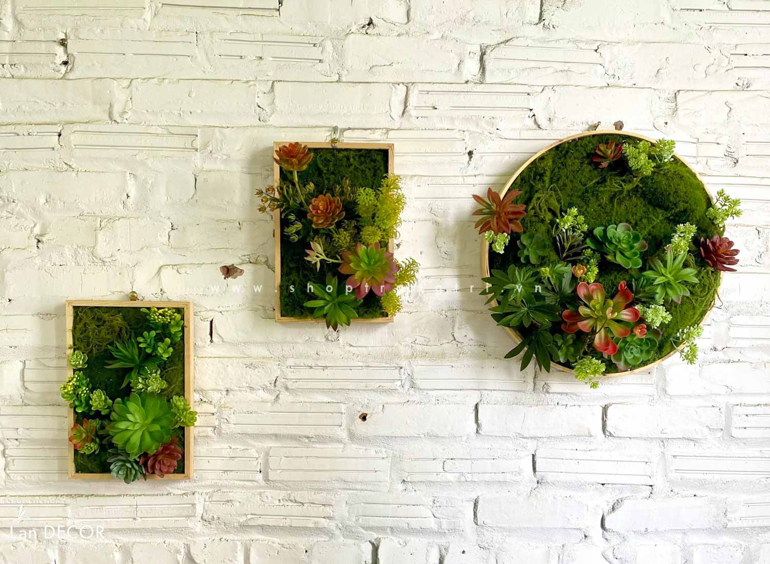 KHUNG TRANH RÊU SEN ĐÁ TRANG TRÍ HIỆN ĐẠI- KTR004.(D=40)