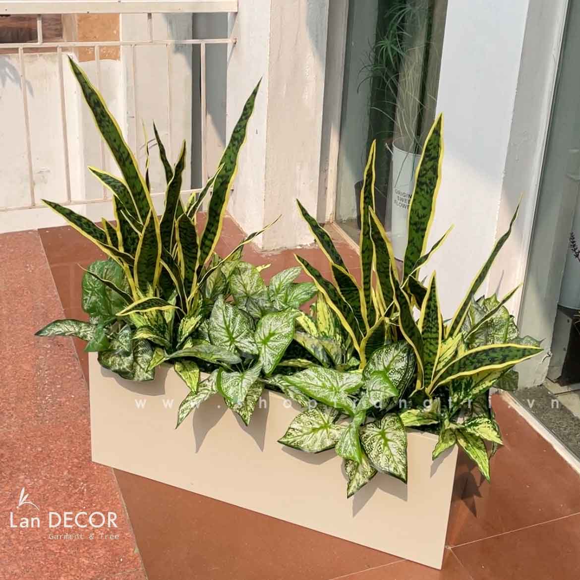 BỒN CÂY LƯỠI HỔ TRANG TRÍ TIỂU CẢNH LANDECOR - BC101