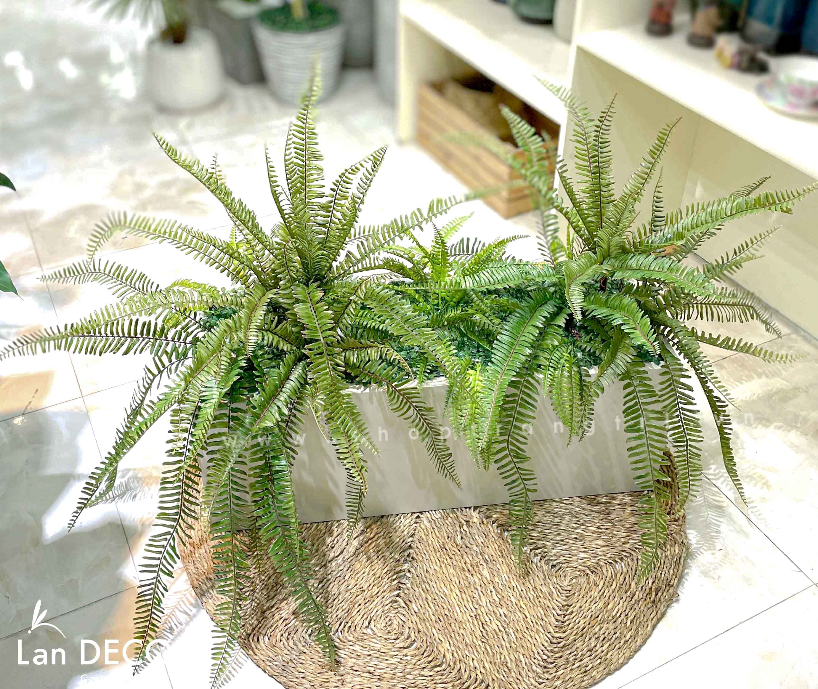 THIẾT KẾ BỒN DƯƠNG XỈ TRANG TRÍ TIỂU CẢNH - BC100