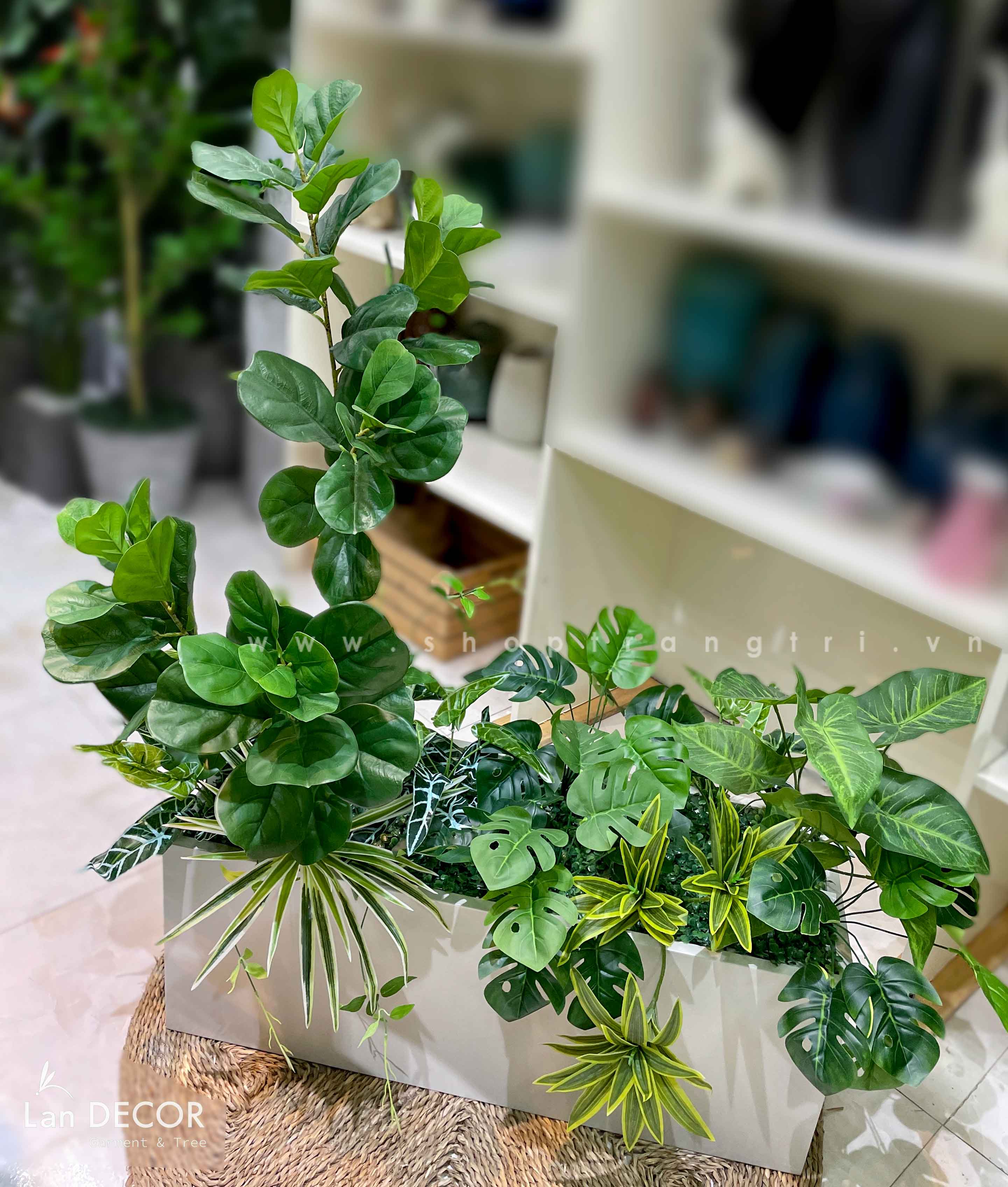 BỒN CÂY BÀNG TRANG TRÍ TIỂU CẢNH LANDECOR - BC099