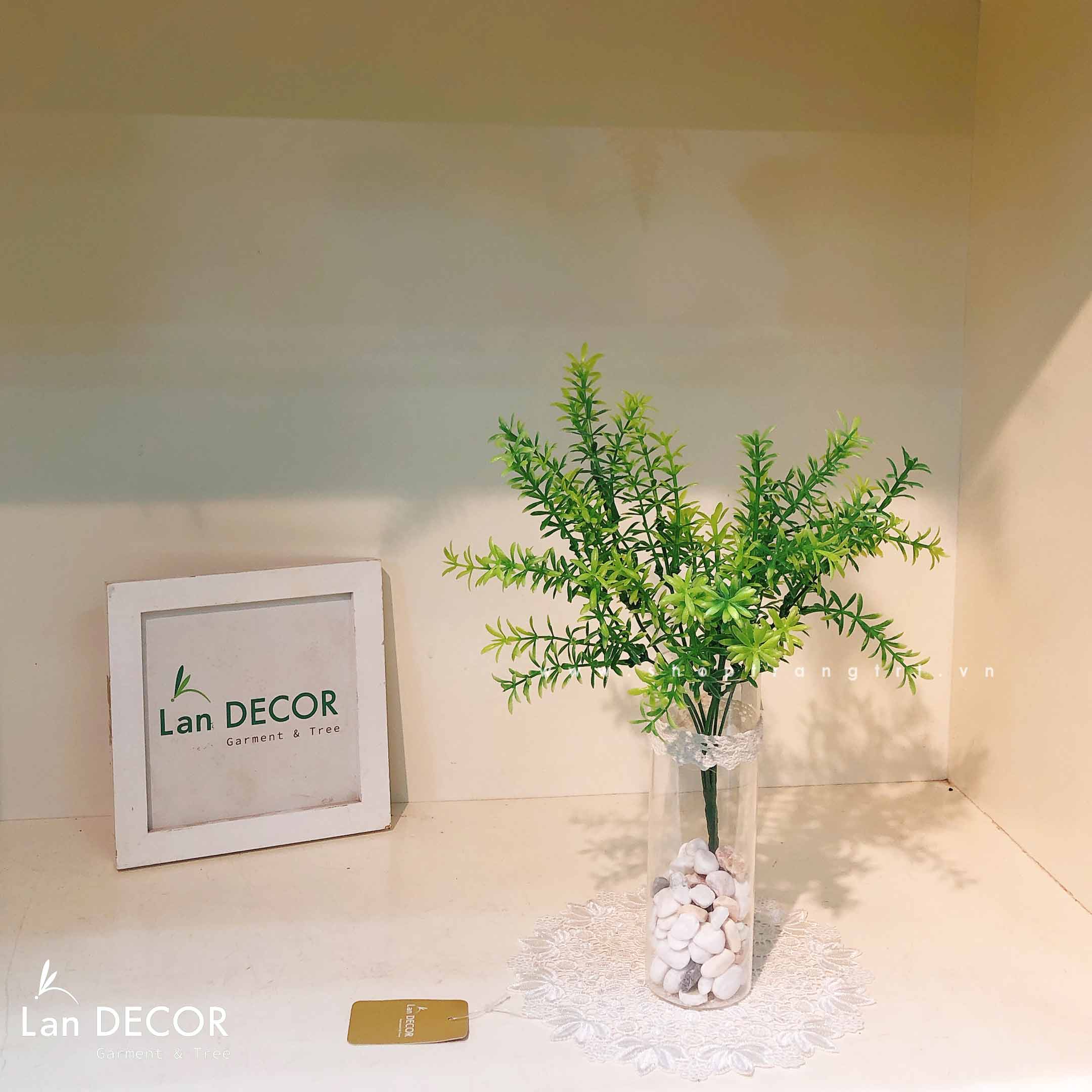 LỌ CÀNH LÁ RONG LAN DECOR- CC740