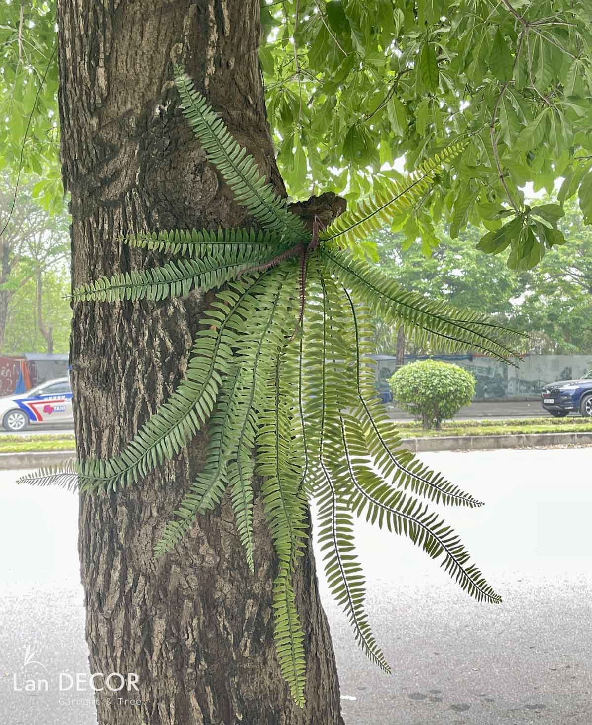 Cành Lá Giả - Cụm Dương Xỉ Cổ Đại Rủ Xanh (95cm)- HC1221-95cm