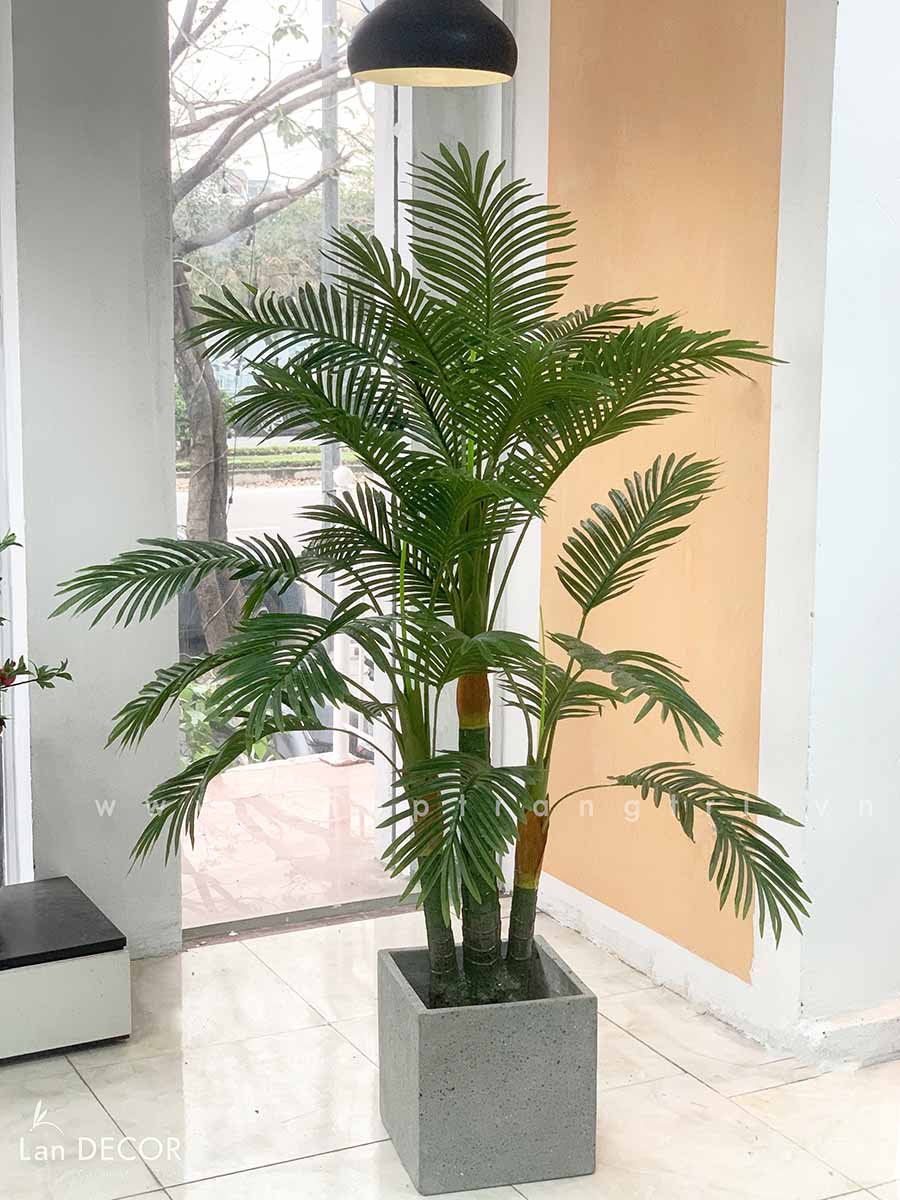 Cây dừa cảnh trang trí nhà đẹp Landecor ( 165cm) - LC3062