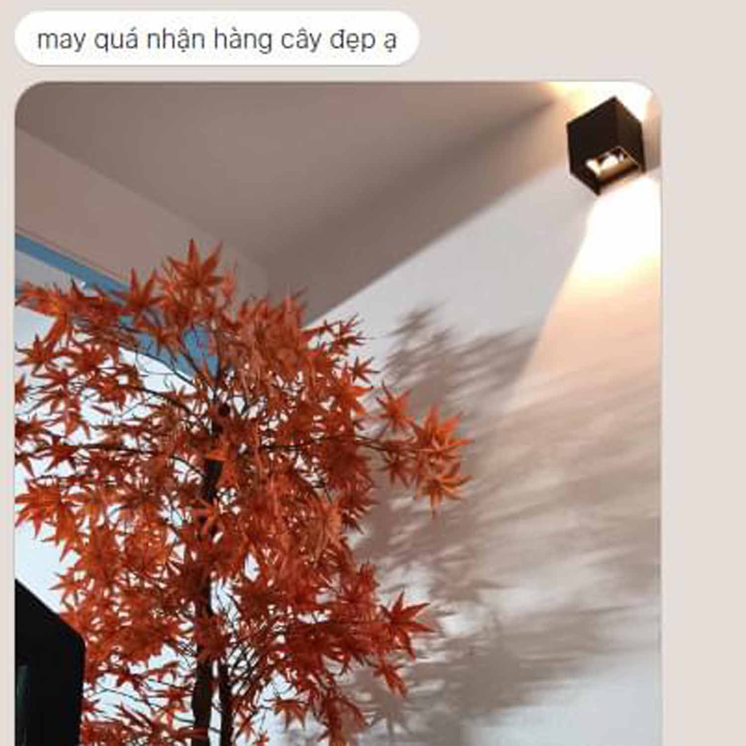 CÀNH LÁ PHONG GIẢ- LÁ PHONG TRANG TRÍ TẠO KHÔNG GIAN THƠ MỘNG, LOẠI ĐẸP CAO CẤP LAN DECOR  (70cm) - HC424