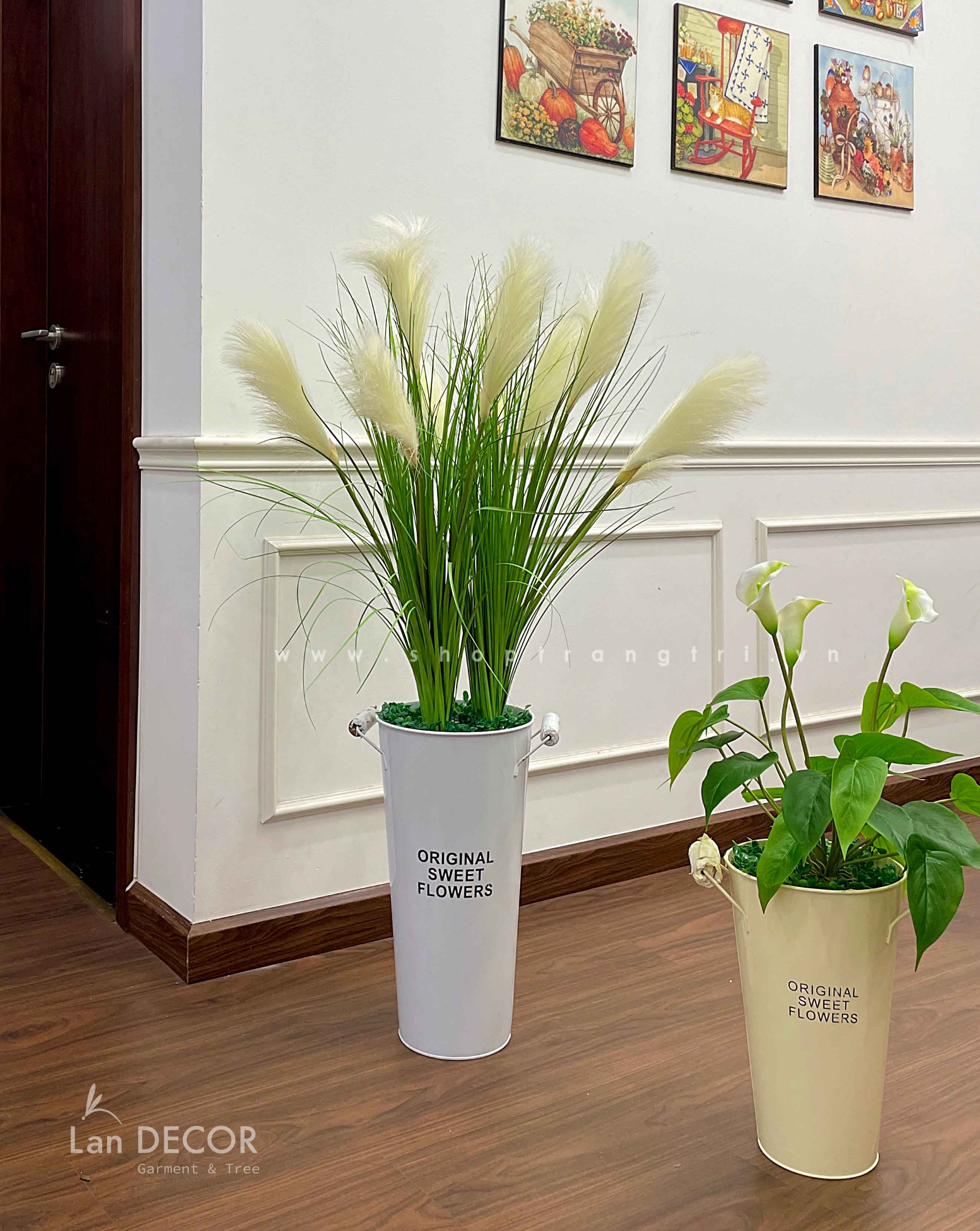 CÂY LAN Ý TRANG TRÍ KHÔNG GIAN HIỆN ĐẠI SANG TRỌNG - CC607