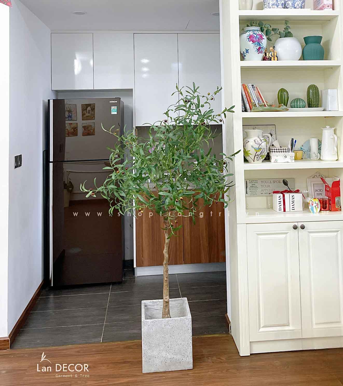 Cây oliu trang trí nội thất LanDecor (165cm) - CC604