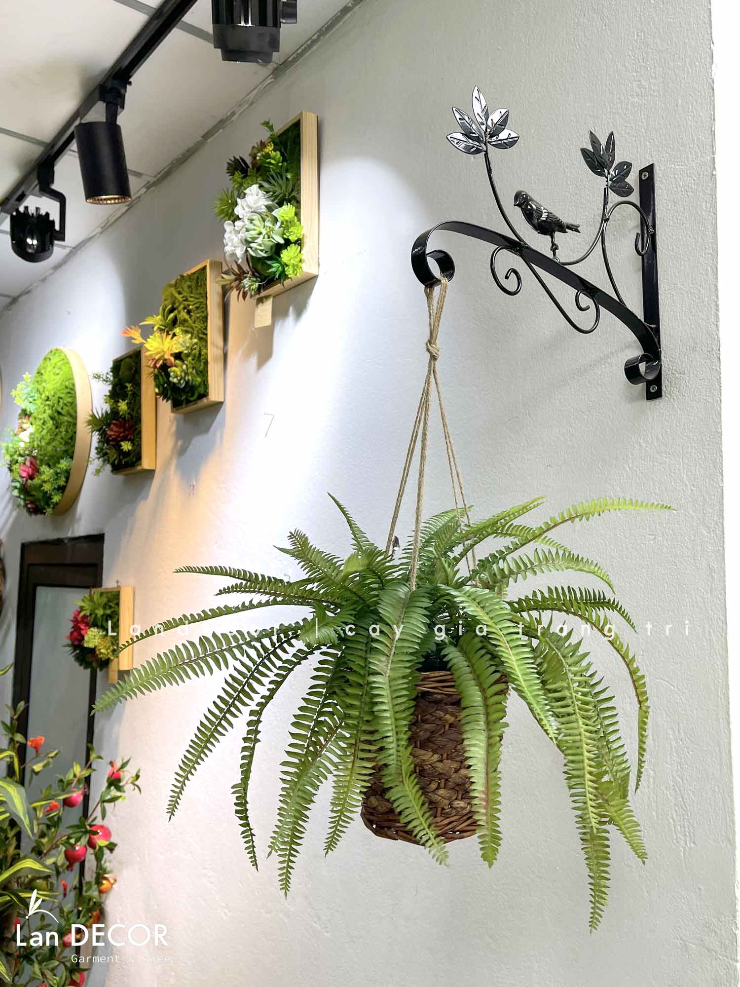 GIỎ DƯƠNG XỈ TREO BAN CÔNG XANH MÁT - CC844