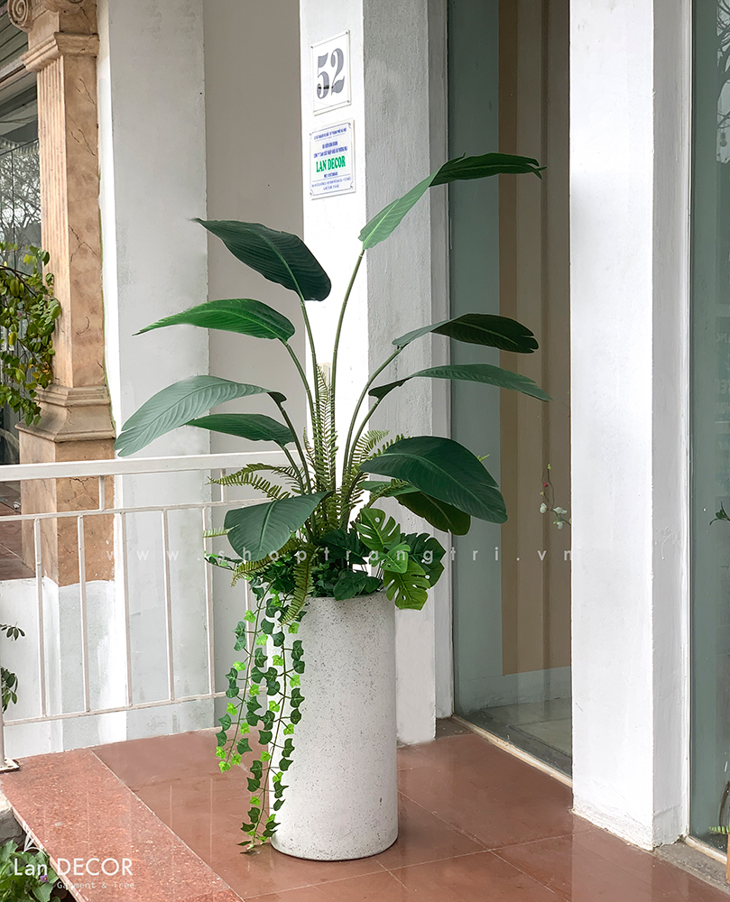 Cây chuối rẻ quạt trang trí tiểu cảnh LanDecor (160cm) - LC3017 mix