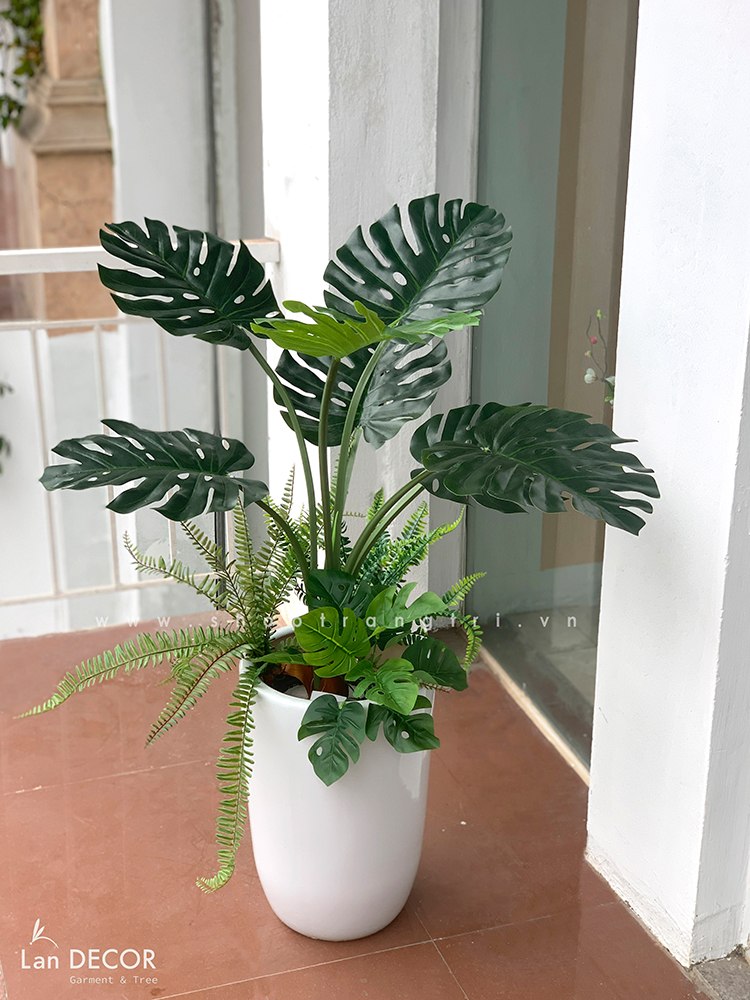 Chậu cây Monstera trang trí tiểu cảnh nhà Landecor (85cm) - LC3057 Mix