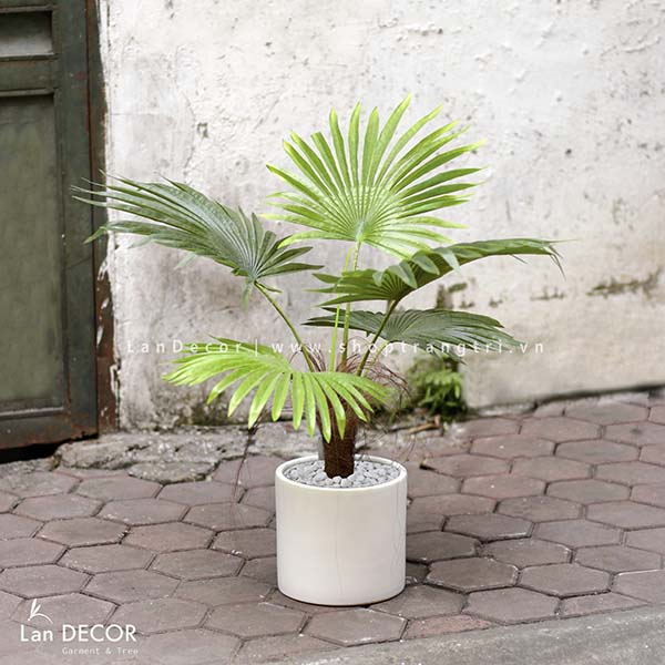 Cây cọ trang trí phong cách nhiệt đới hiện đại Lan Decor (70cm) - LC2895