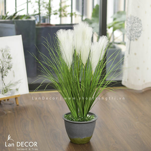 CHẬU LAU SẬY TRẮNG TRANG TRÍ PHONG CÁCH VINTAGE LAN DECOR