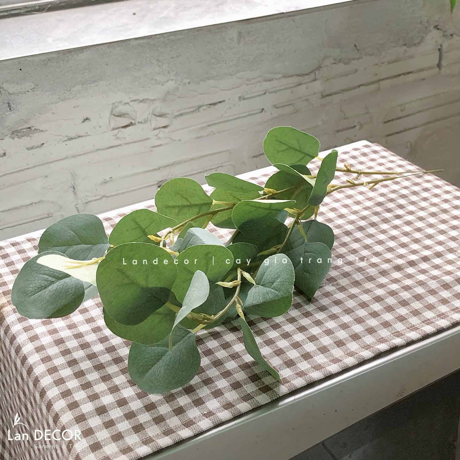 CÀNH BẠCH ĐÀN (40CM) - HC1039