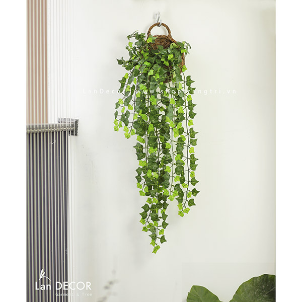 Giỏ Thường xuân treo tường trang trí nhà đẹp Lan Decor(90cm) - CC237