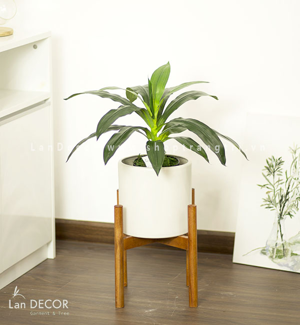 CÂY THIẾT MỘC LAN ĐỂ BÀN TRANG TRÍ (40cm) - LC2595-2