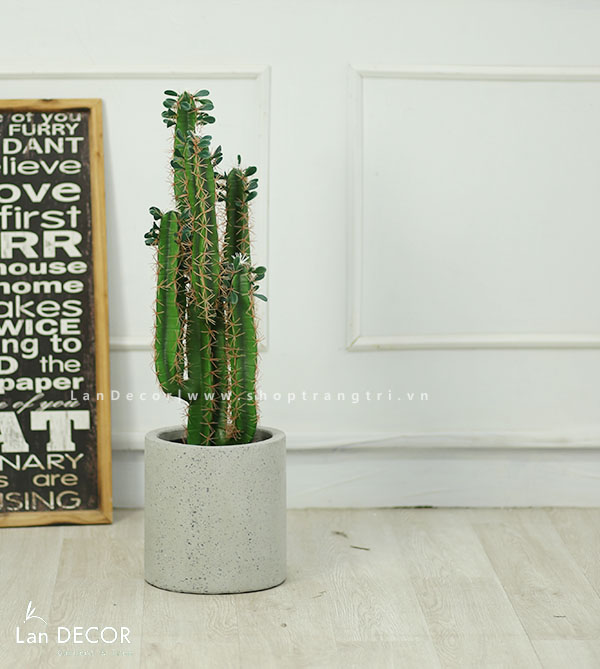 CÂY XƯƠNG RỒNG GIẢ LOẠI 5 TAY NHỎ (80cm) - LC2911