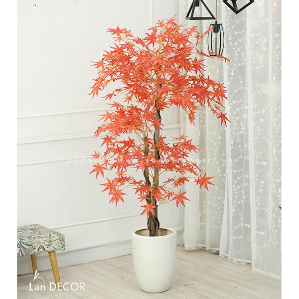 Cây phong lá đỏ trang trí nội thất đẹp (165cm)- LC2787