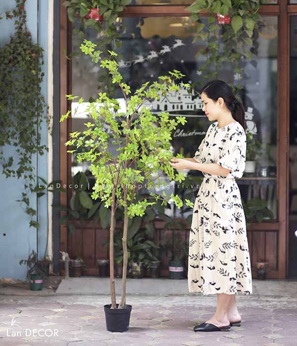 CHẬU CÂY THẠCH NAM NHẬT BẢN MIX TRANG TRÍ NỘI THẤT (180cm) - CC246-1 Mix