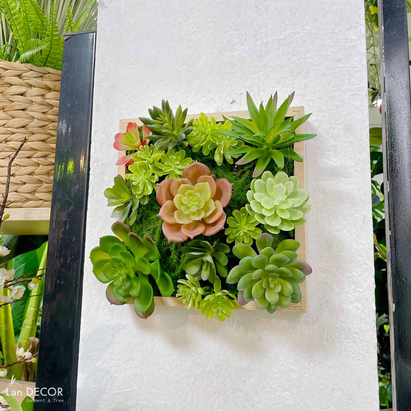 KHUNG TRANH RÊU SEN ĐÁ TRANG TRÍ LAN DECOR (20*20)- KTR06 Tổng Kho Sỉ ...