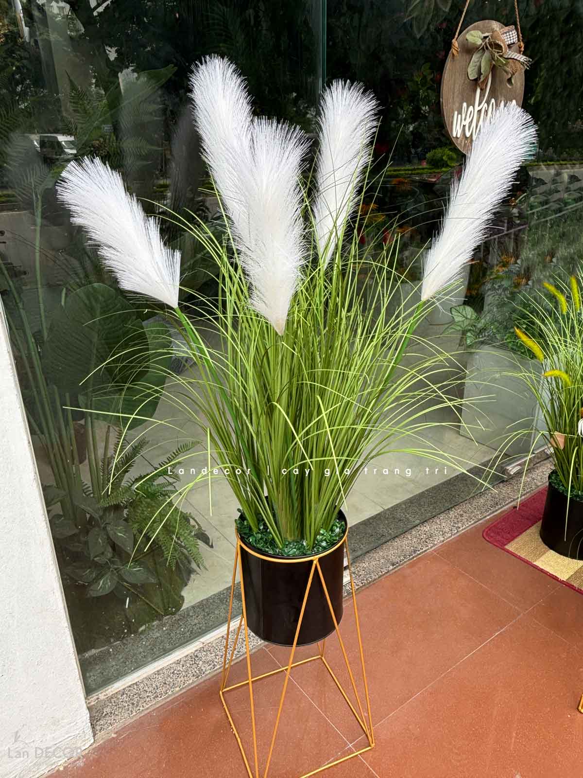 Cỏ Lau Giả- Kệ Bông Lau Trắng Tô Điểm Không Gian Xinh (cao 130-140cm. tán 40-50cm)- CC1108