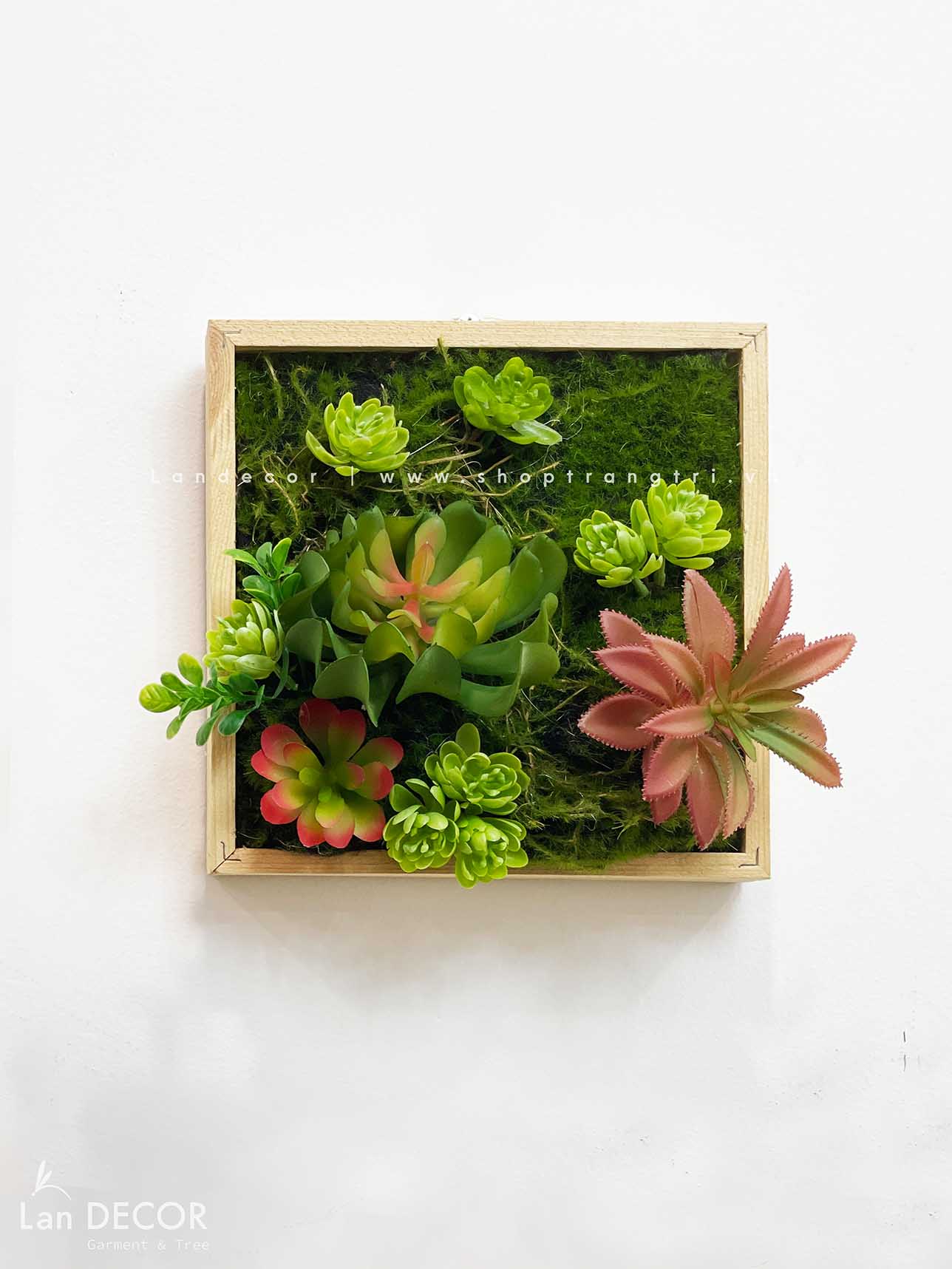 KHUNG TRANH RÊU SEN ĐÁ TRANG TRÍ LAN DECOR (20*20)- KTR06 Tổng Kho Sỉ ...