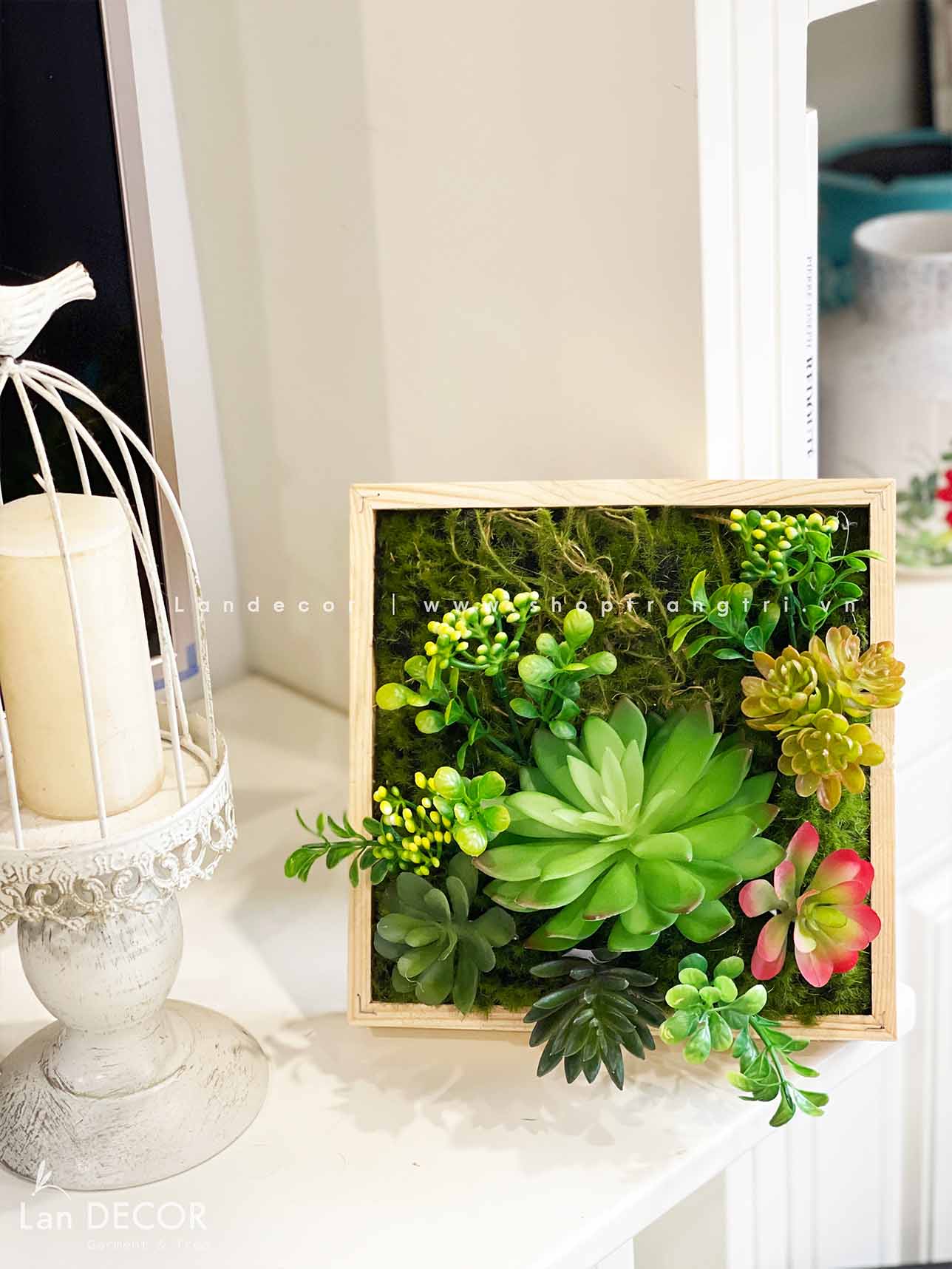 KHUNG TRANH RÊU SEN ĐÁ TRANG TRÍ LAN DECOR (20*20)- KTR06 Tổng Kho Sỉ ...