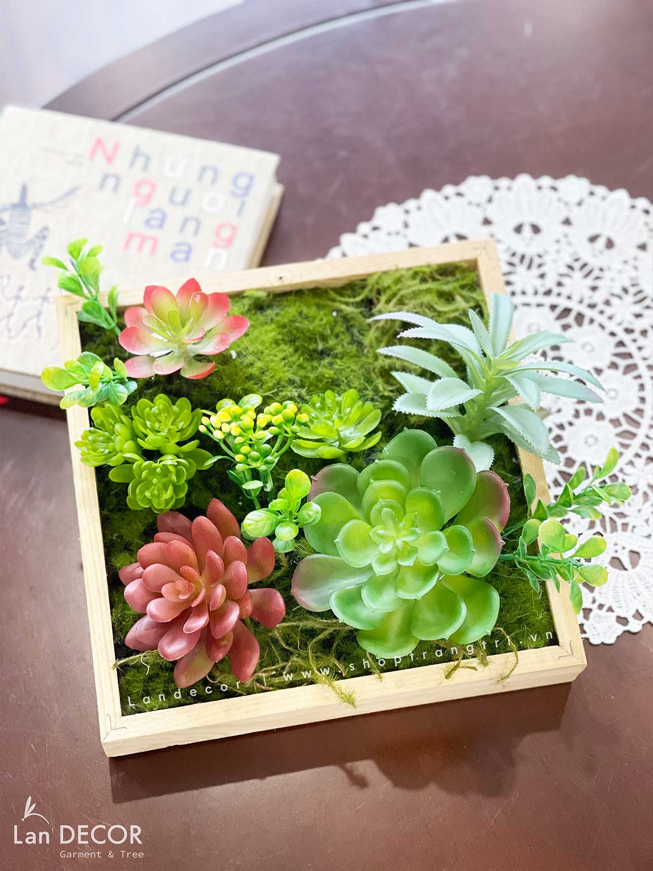 KHUNG TRANH RÊU SEN ĐÁ TRANG TRÍ LAN DECOR (20*20)- KTR06 Tổng Kho Sỉ ...