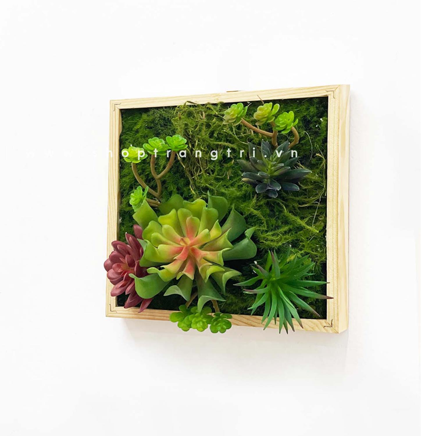 KHUNG TRANH RÊU SEN ĐÁ TRANG TRÍ LAN DECOR (20*20)- KTR06 Tổng Kho Sỉ ...