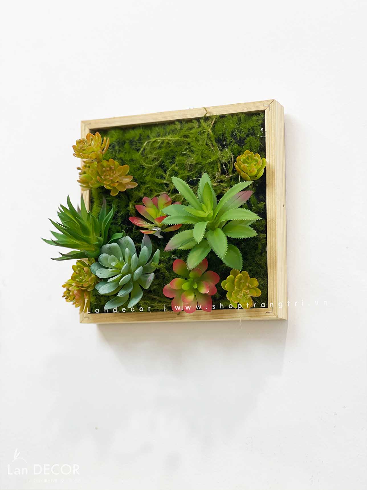 KHUNG TRANH RÊU SEN ĐÁ TRANG TRÍ LAN DECOR (20*20)- KTR06 Tổng Kho Sỉ ...