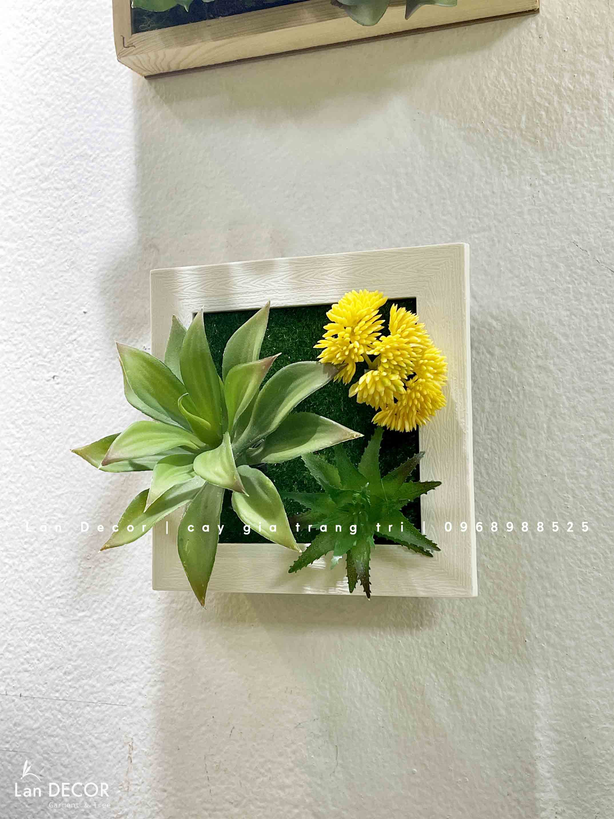 Khung tranh rêu treo tường trang trí nghệ thuật- KTR017 Tổng Kho Sỉ Cây ...