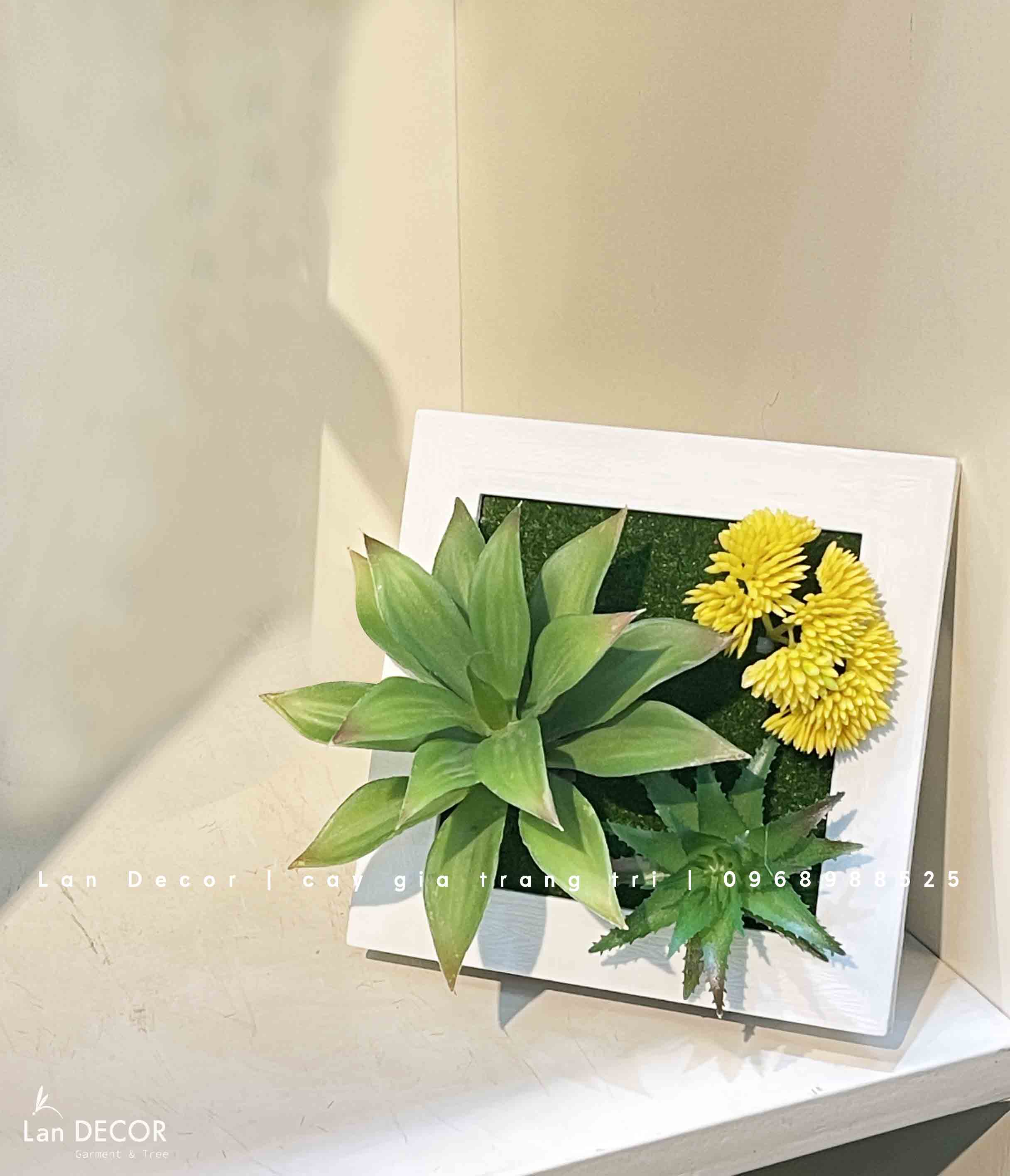 Khung tranh rêu treo tường trang trí nghệ thuật- KTR017 Tổng Kho Sỉ Cây ...