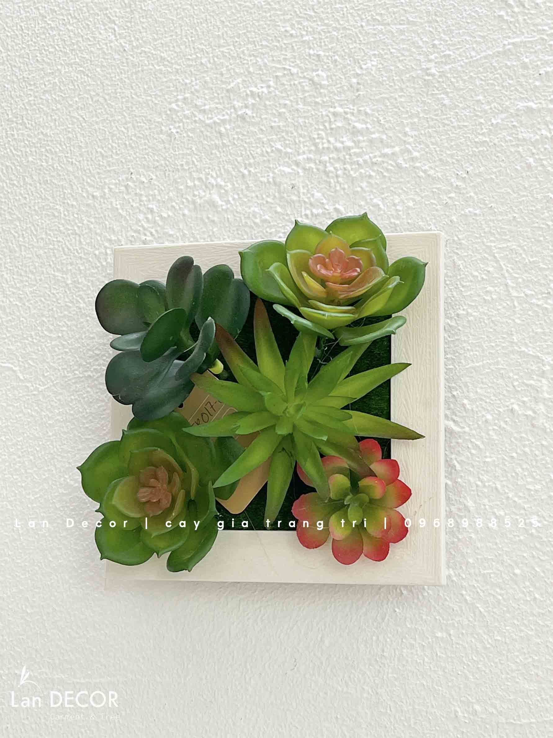 Khung tranh rêu treo tường trang trí nghệ thuật- KTR017