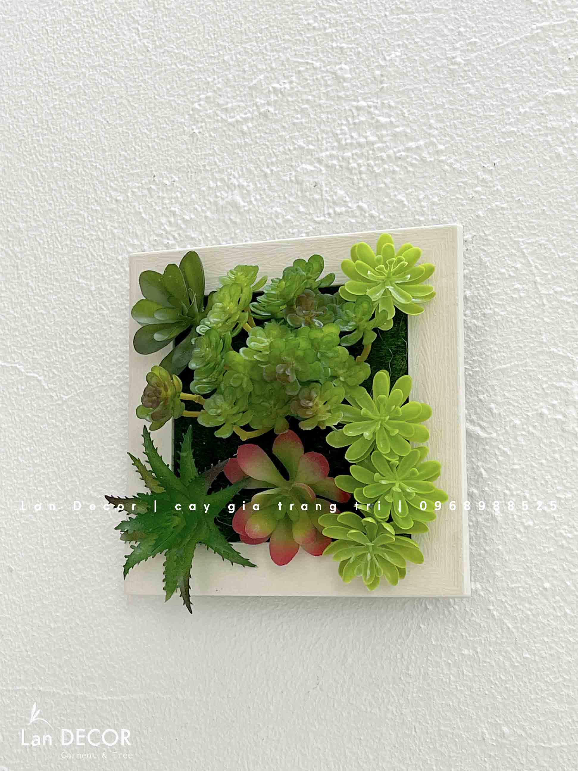 Khung tranh rêu treo tường trang trí nghệ thuật- KTR017