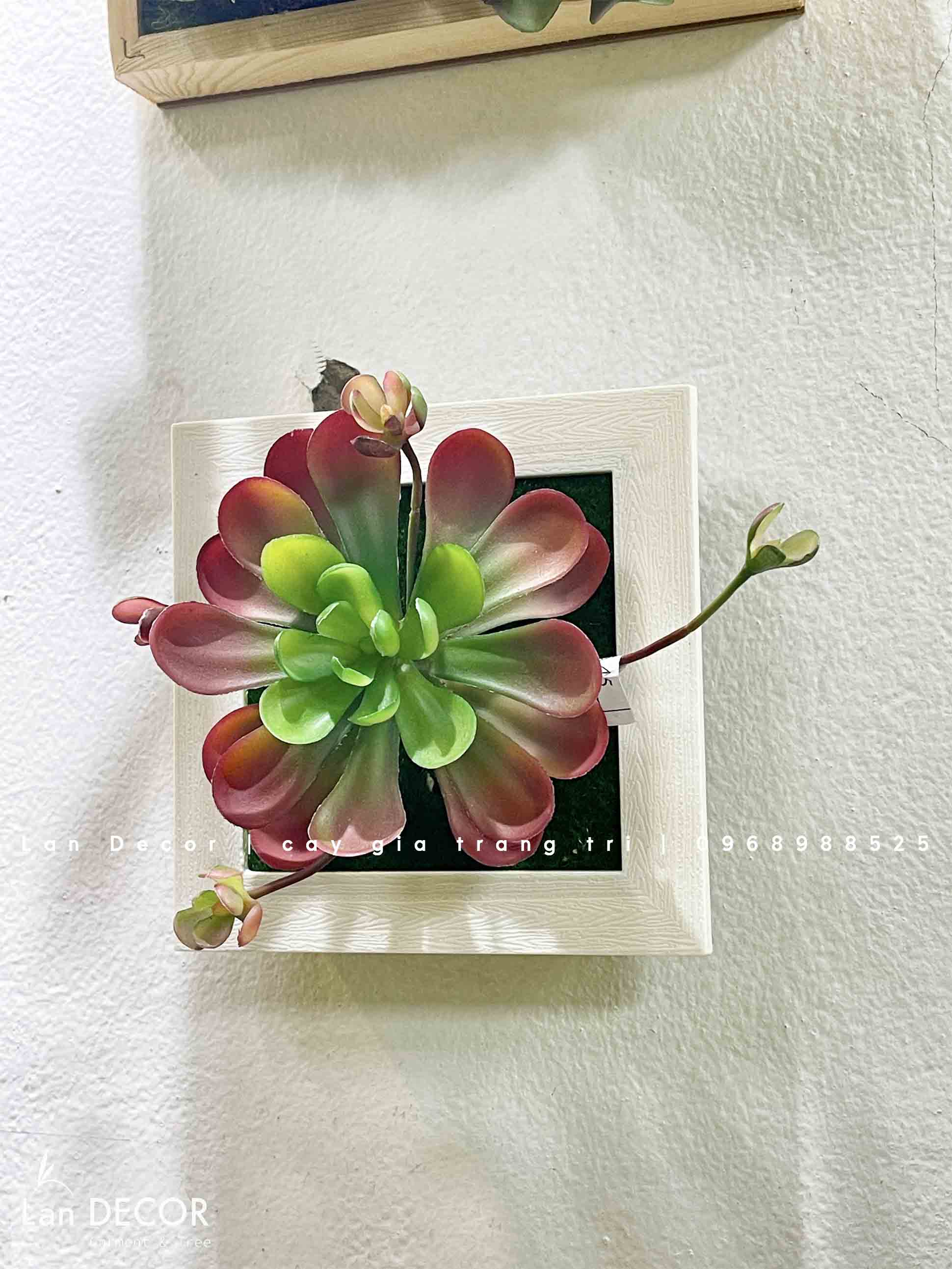 Khung tranh rêu treo tường trang trí nghệ thuật- KTR017