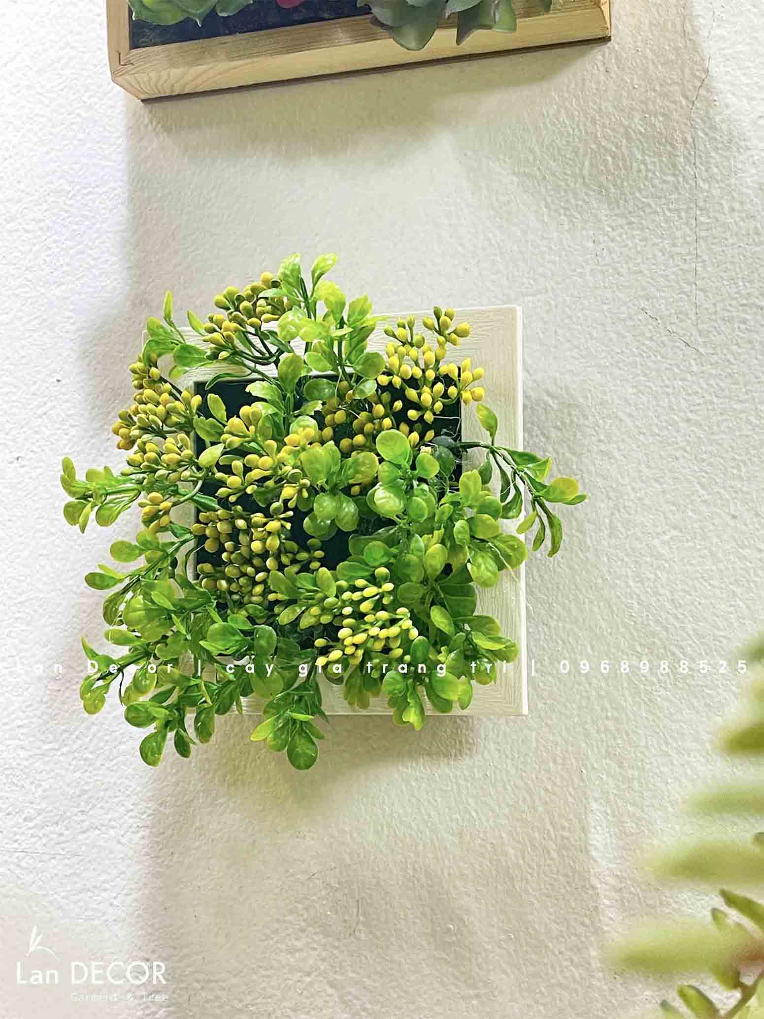 Khung tranh rêu treo tường trang trí nghệ thuật- KTR017