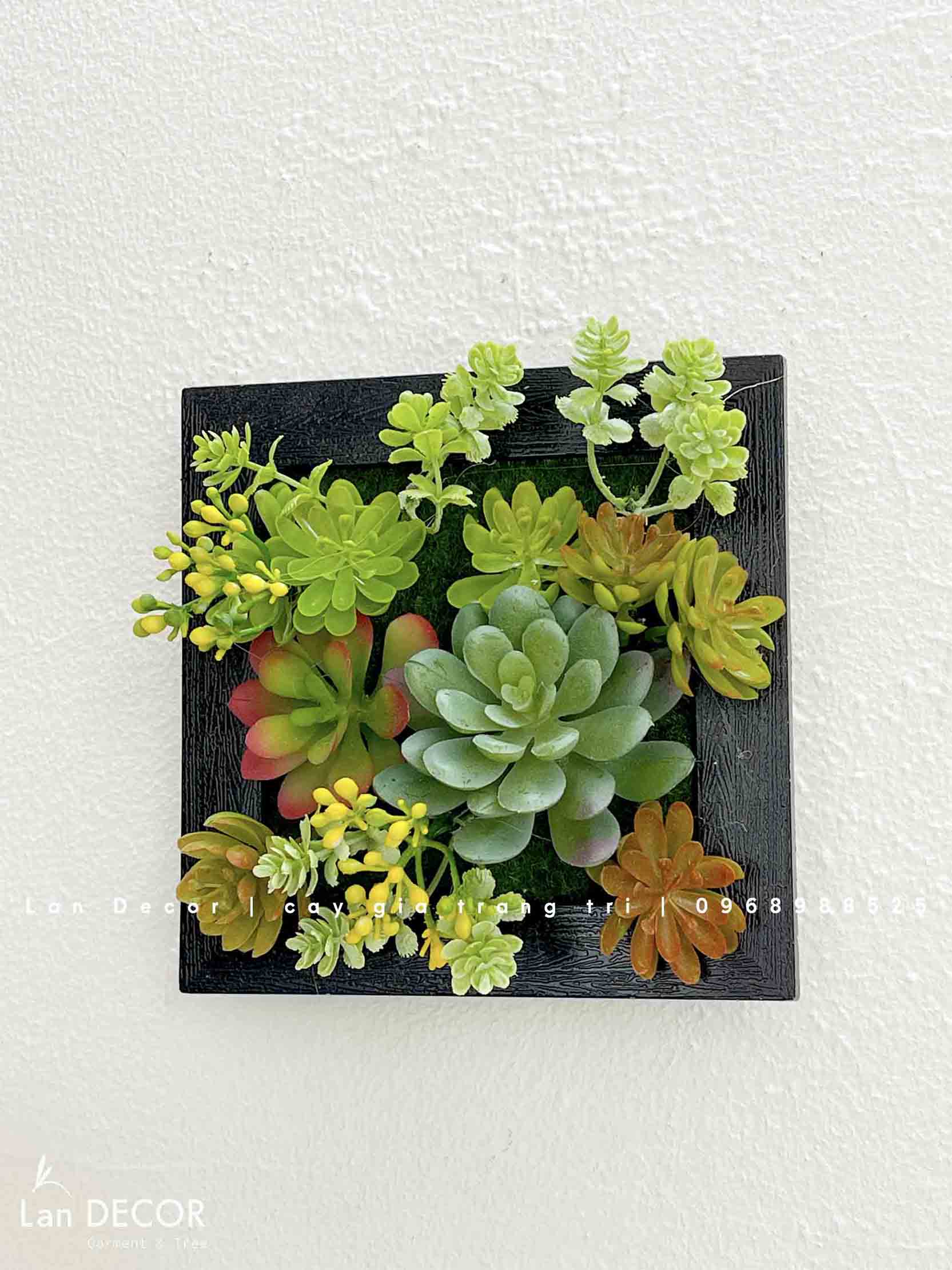 Khung tranh rêu treo tường trang trí nghệ thuật- KTR017